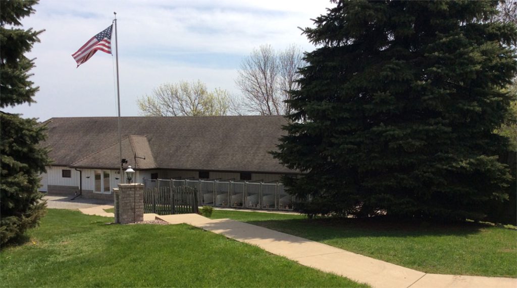 About Foxwood Kennels